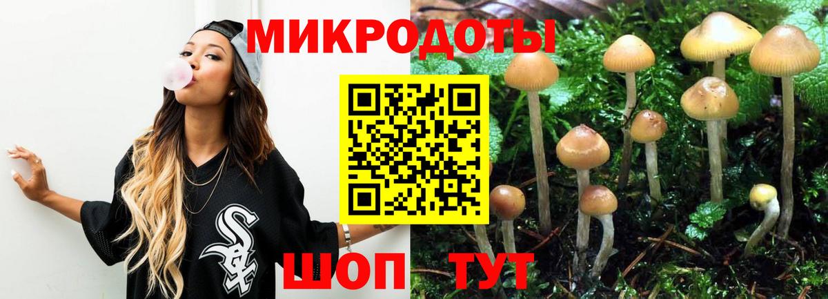 Псилоцибиновые грибы Psilocybine cubensis Джанкой