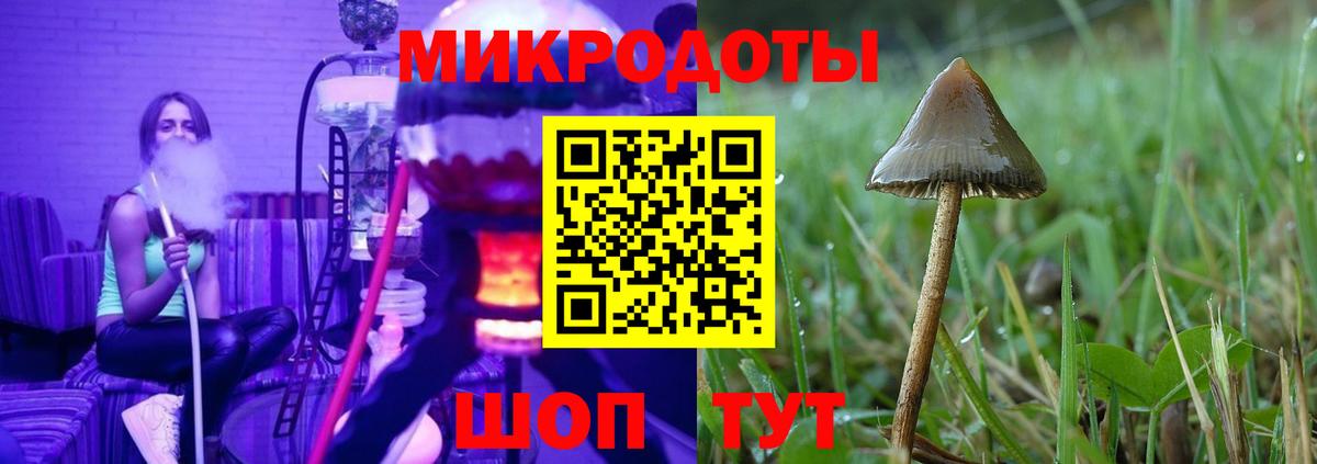 Галлюциногенные грибы Psilocybe  Вход с VPN  Псилоцибиновые грибы мицелий  Джанкой 